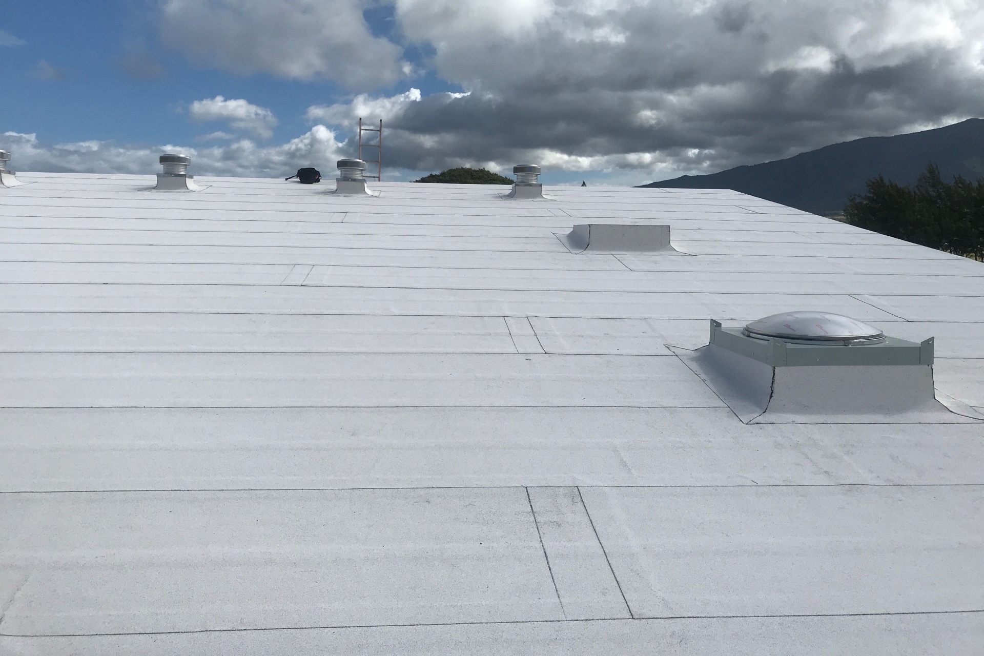 Roofing Companies Honolulu, Oahu, Mililani & more